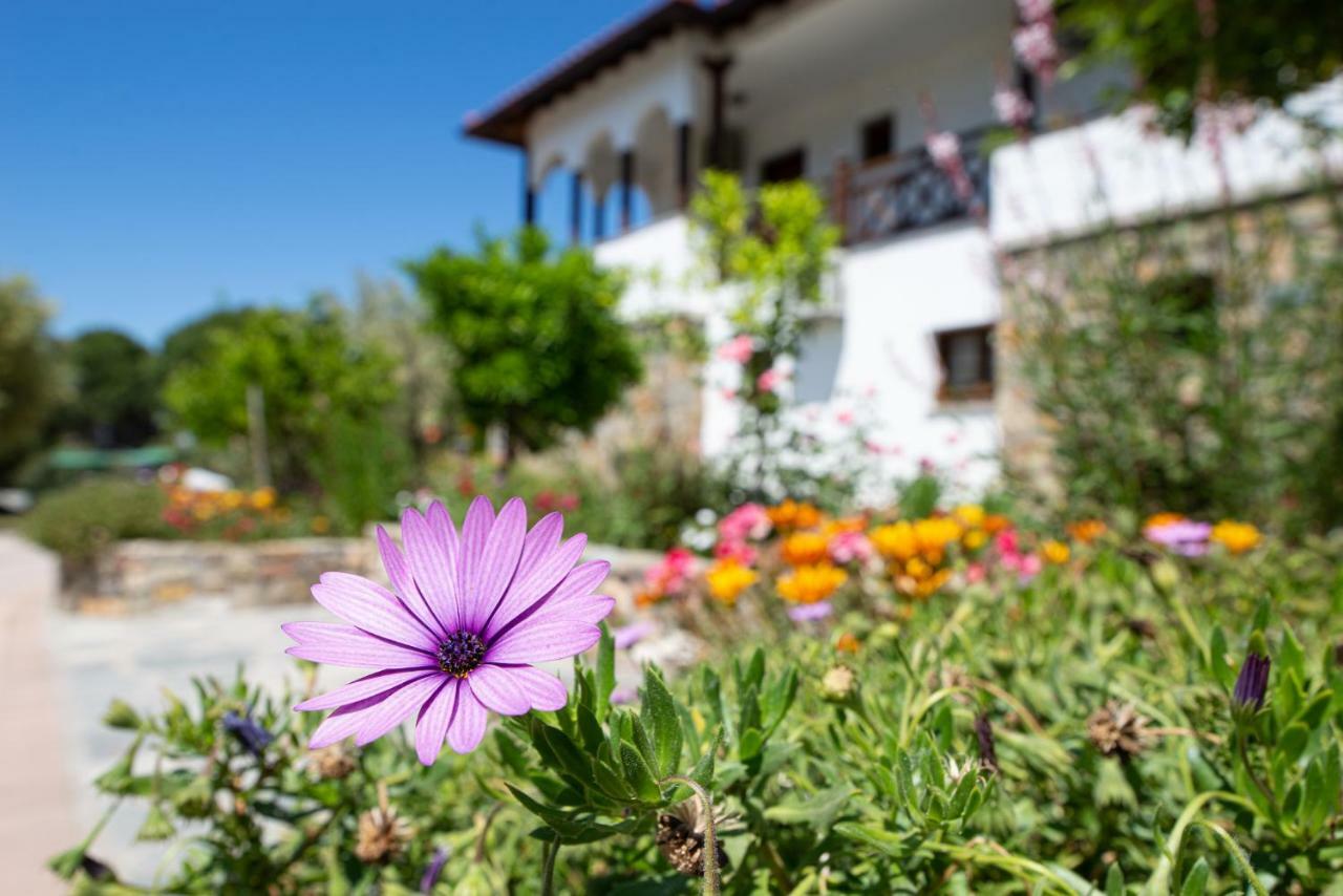보우르보우로우 Garden House Psarogiannis 아파트 외부 사진